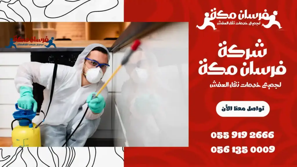 افضل شركة مكافحة حشرات ببطحاء