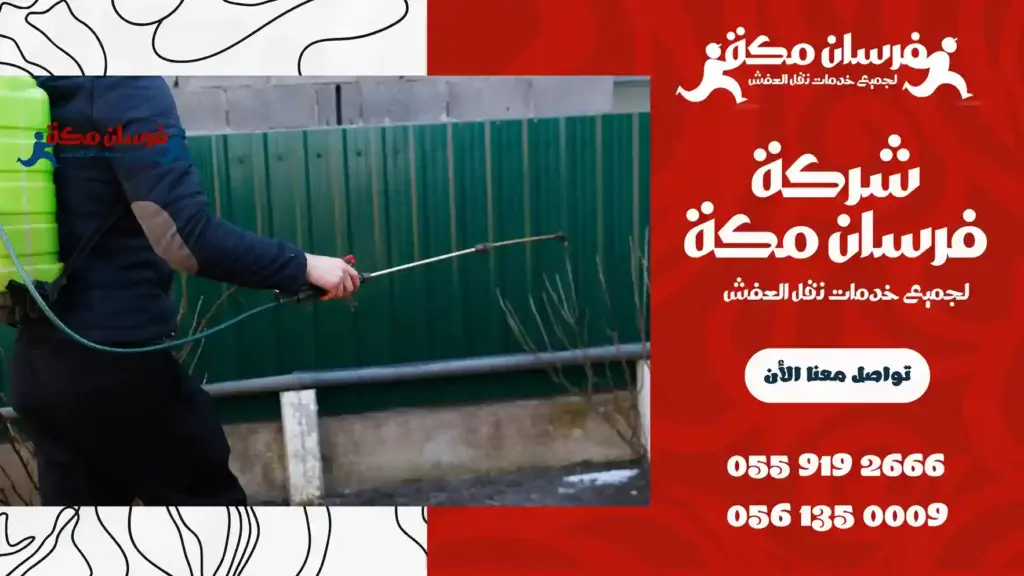 شركة مكافحة حشرات بالعزيزية مكة