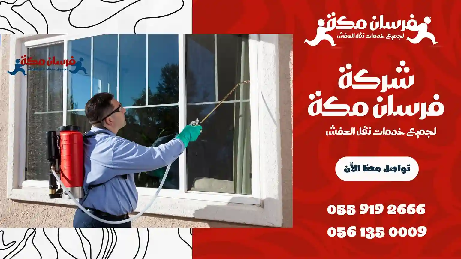 شركة مكافحة حشرات بالعوالي
