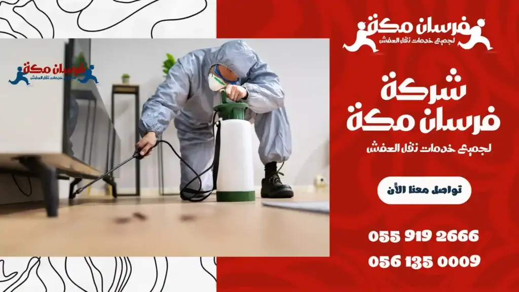 شركة مكافحة حشرات ببطحاء قريش