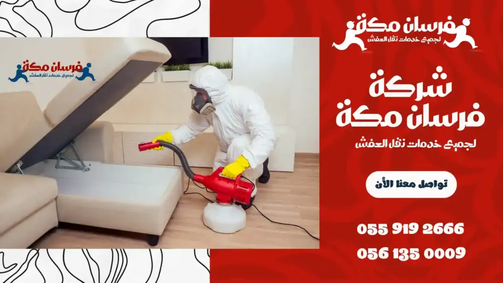 شركة مكافحة حشرات ببطحاء قريش رخيصة