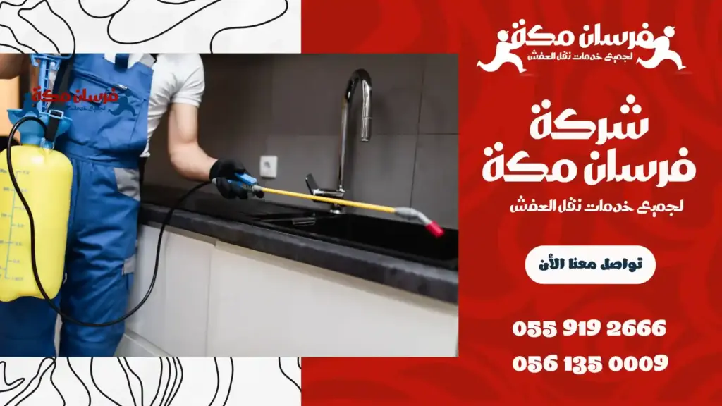 شركة مكافحة حشرات بحي الفيصلية رخيصة